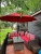 45f22190-0644-43ca-994a-39367f7723d1