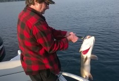 Holiday Pines Trailer Park, near Peterborough Ontario